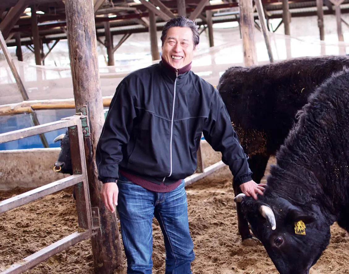 Des éleveurs wallons se lancent dans le bœuf de Kobe, le 'caviar' de la  viande bovine 